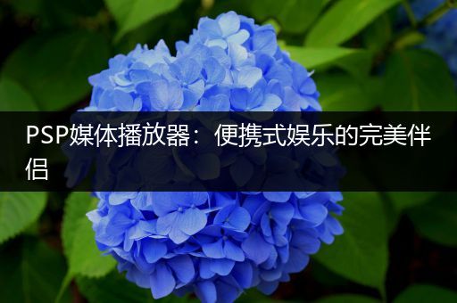 PSP媒体播放器：便携式娱乐的完美伴侣