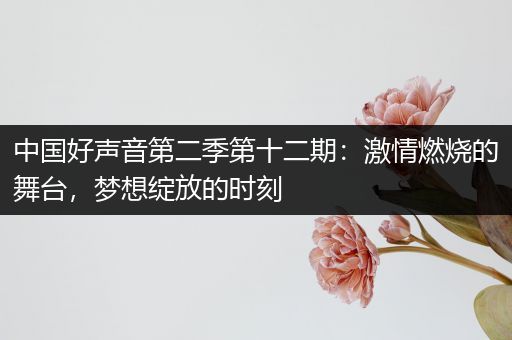 中国好声音第二季第十二期：激情燃烧的舞台，梦想绽放的时刻