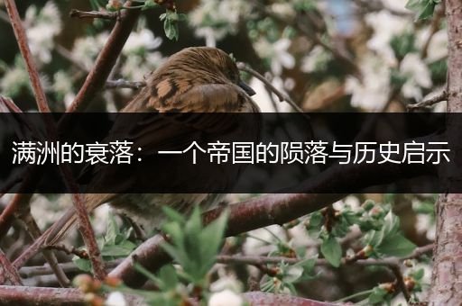 满洲的衰落：一个帝国的陨落与历史启示