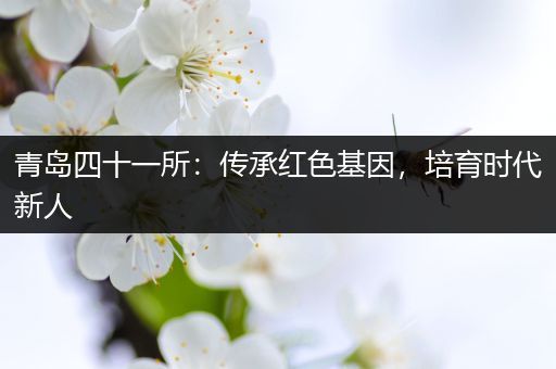 青岛四十一所：传承红色基因，培育时代新人