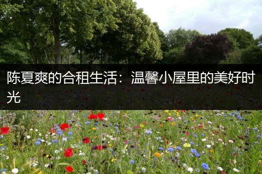 陈夏爽的合租生活：温馨小屋里的美好时光
