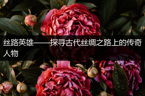 丝路英雄——探寻古代丝绸之路上的传奇人物