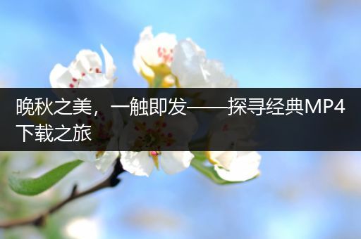 晚秋之美，一触即发——探寻经典MP4下载之旅
