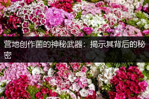 营地创作菌的神秘武器：揭示其背后的秘密