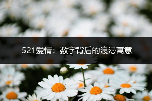 521爱情：数字背后的浪漫寓意
