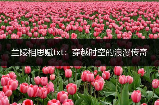 兰陵相思赋txt：穿越时空的浪漫传奇