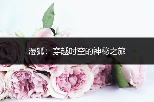 漫狐：穿越时空的神秘之旅