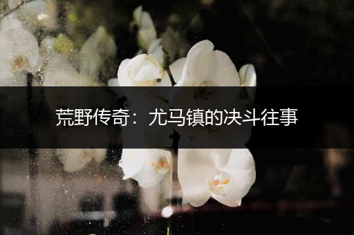 荒野传奇：尤马镇的决斗往事