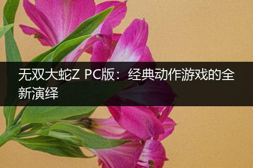 无双大蛇Z PC版：经典动作游戏的全新演绎