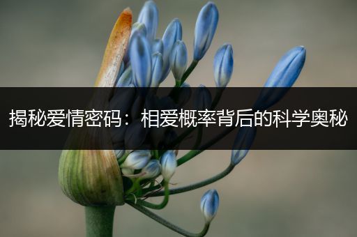 揭秘爱情密码：相爱概率背后的科学奥秘