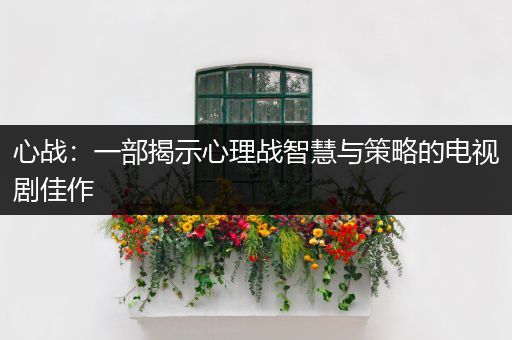 心战：一部揭示心理战智慧与策略的电视剧佳作