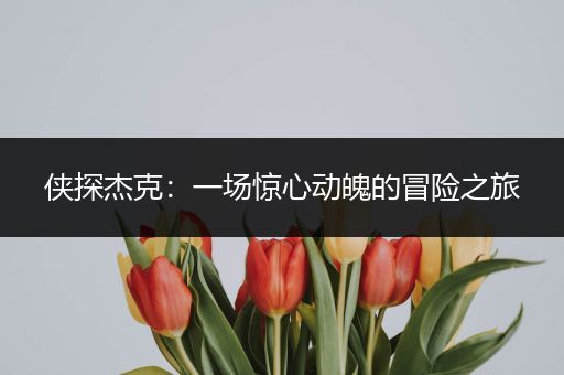 侠探杰克：一场惊心动魄的冒险之旅