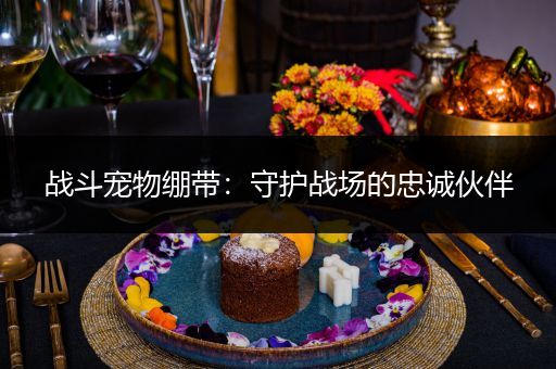 战斗宠物绷带：守护战场的忠诚伙伴
