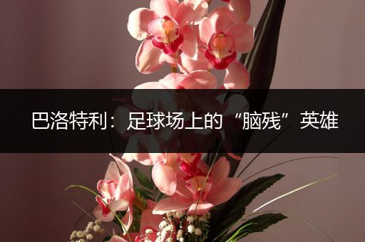 巴洛特利：足球场上的“脑残”英雄