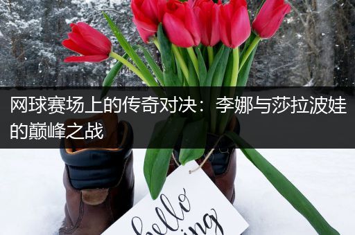 网球赛场上的传奇对决：李娜与莎拉波娃的巅峰之战