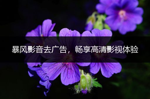 暴风影音去广告，畅享高清影视体验