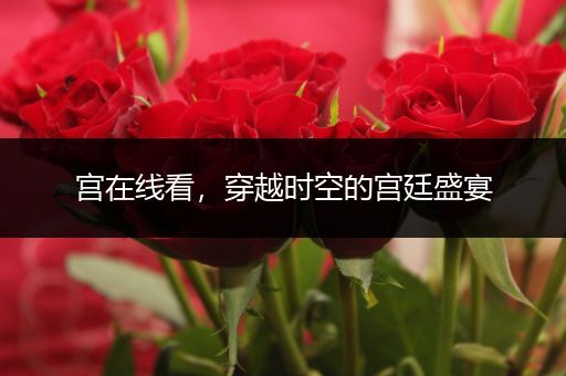 宫在线看，穿越时空的宫廷盛宴