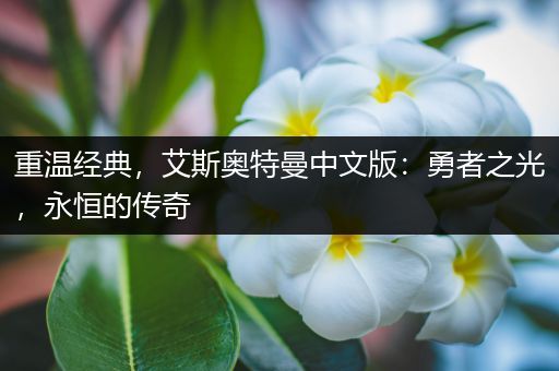 重温经典，艾斯奥特曼中文版：勇者之光，永恒的传奇
