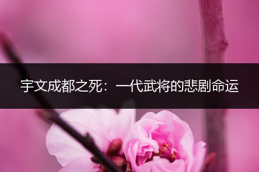 宇文成都之死：一代武将的悲剧命运