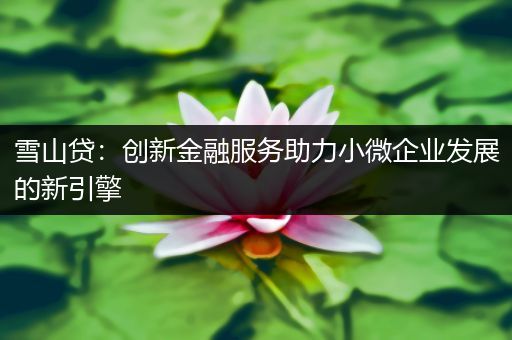 雪山贷：创新金融服务助力小微企业发展的新引擎