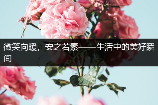 微笑向暖，安之若素——生活中的美好瞬间