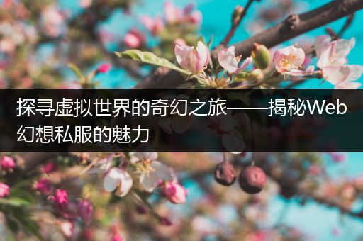 探寻虚拟世界的奇幻之旅——揭秘Web幻想私服的魅力