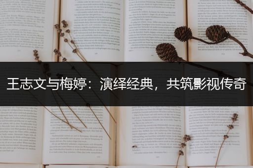 王志文与梅婷：演绎经典，共筑影视传奇