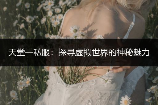 天堂一私服：探寻虚拟世界的神秘魅力
