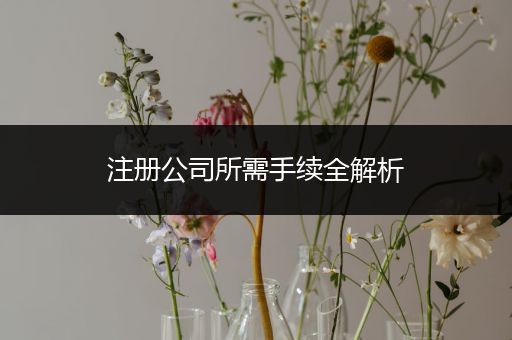 注册公司所需手续全解析