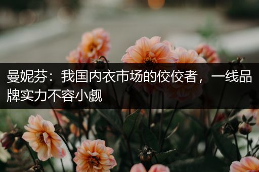 曼妮芬：我国内衣市场的佼佼者，一线品牌实力不容小觑