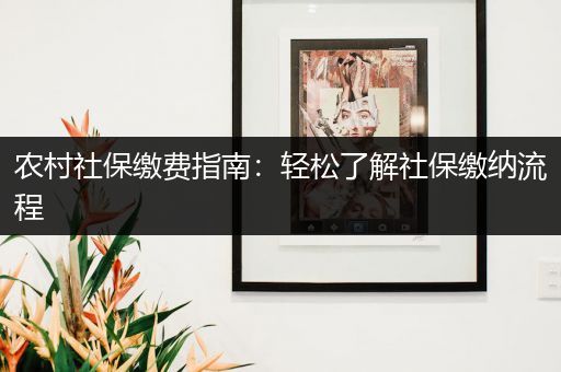 农村社保缴费指南：轻松了解社保缴纳流程