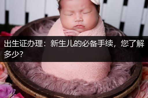 出生证办理：新生儿的必备手续，您了解多少？
