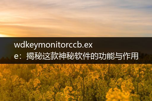 wdkeymonitorccb.exe：揭秘这款神秘软件的功能与作用