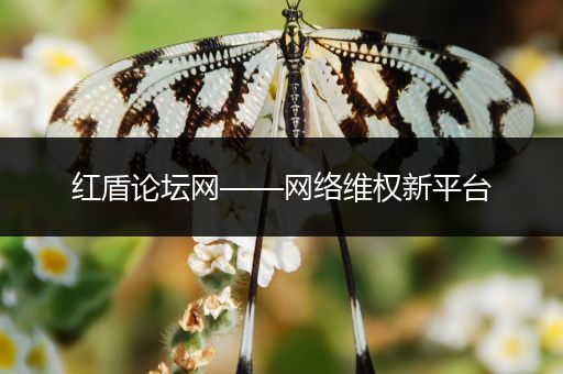 红盾论坛网——网络维权新平台