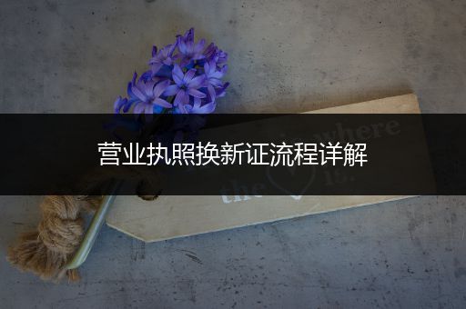 营业执照换新证流程详解