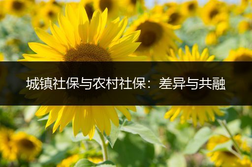 城镇社保与农村社保：差异与共融