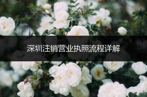 深圳注销营业执照流程详解