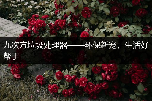 九次方垃圾处理器——环保新宠，生活好帮手