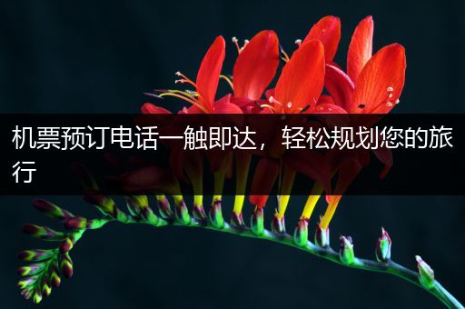 机票预订电话一触即达，轻松规划您的旅行
