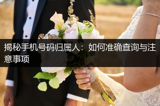 揭秘手机号码归属人：如何准确查询与注意事项