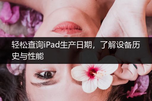 轻松查询iPad生产日期，了解设备历史与性能