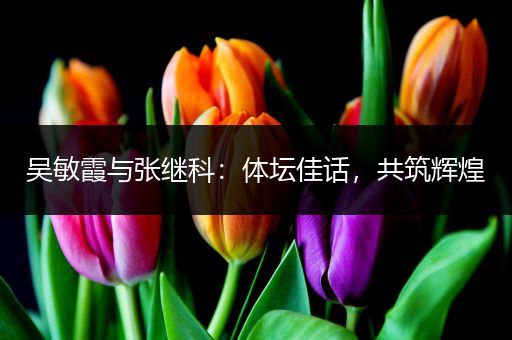 吴敏霞与张继科：体坛佳话，共筑辉煌