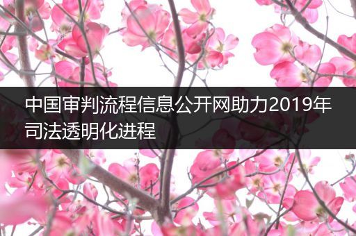 中国审判流程信息公开网助力2019年司法透明化进程