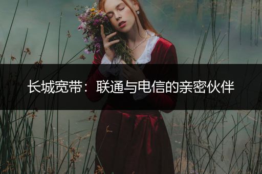 长城宽带：联通与电信的亲密伙伴