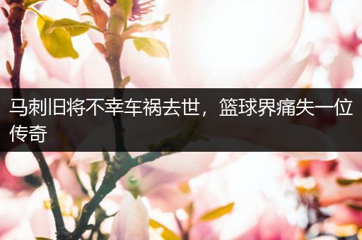马刺旧将不幸车祸去世，篮球界痛失一位传奇