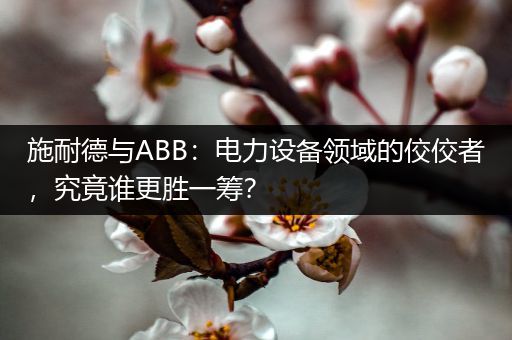 施耐德与ABB：电力设备领域的佼佼者，究竟谁更胜一筹？