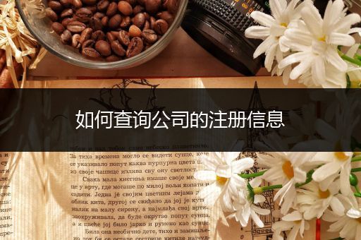 如何查询公司的注册信息