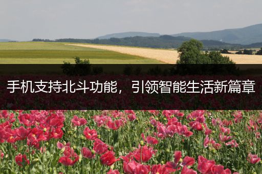 手机支持北斗功能，引领智能生活新篇章
