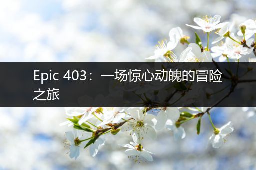 Epic 403：一场惊心动魄的冒险之旅
