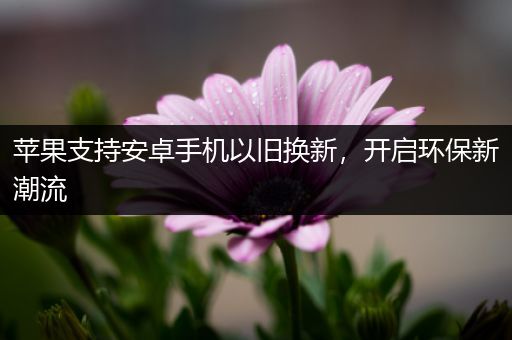 苹果支持安卓手机以旧换新，开启环保新潮流
